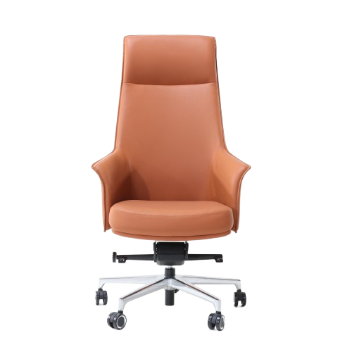 Aeron 1956 Executive Chair